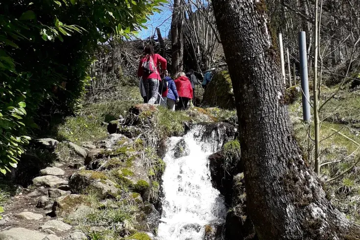 marche en pleine nature